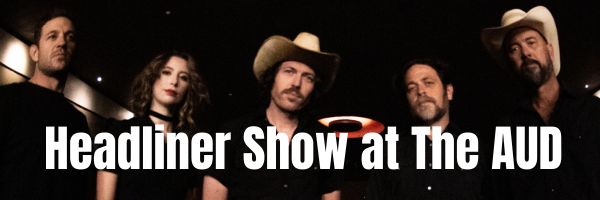 The Brothers Comatose